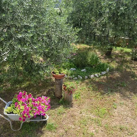 Apartman Ana *